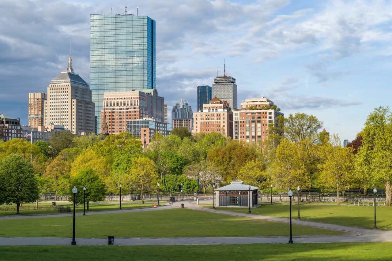 Panoramic view of a vast green park with a modern city skyline and blue sky in the background.